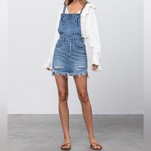 Insane Gene Simple Day Fray Detailed Overall. Pre-Owned.